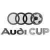 Audi kupa